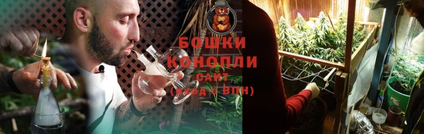 спайс Алексин